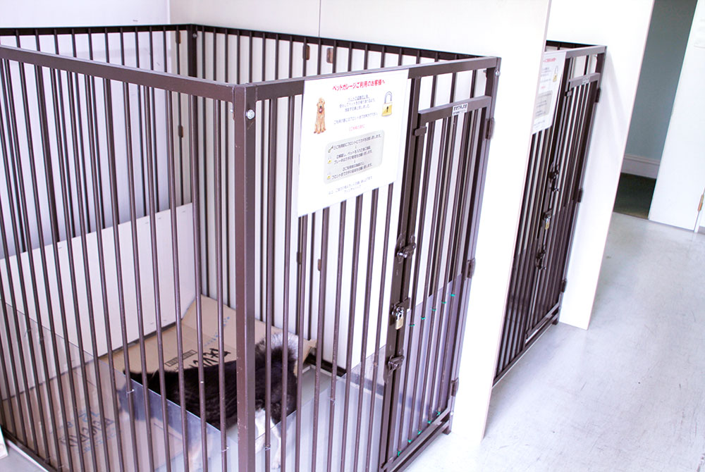 Pet Cage Room
